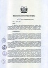 Vista preliminar de documento RD 245-2018