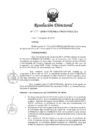 Vista preliminar de documento RD 037
