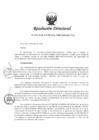Vista preliminar de documento RD 049