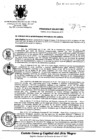 Vista preliminar de documento Ordenanza Municipal