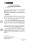 Vista preliminar de documento RDG-026-2019 