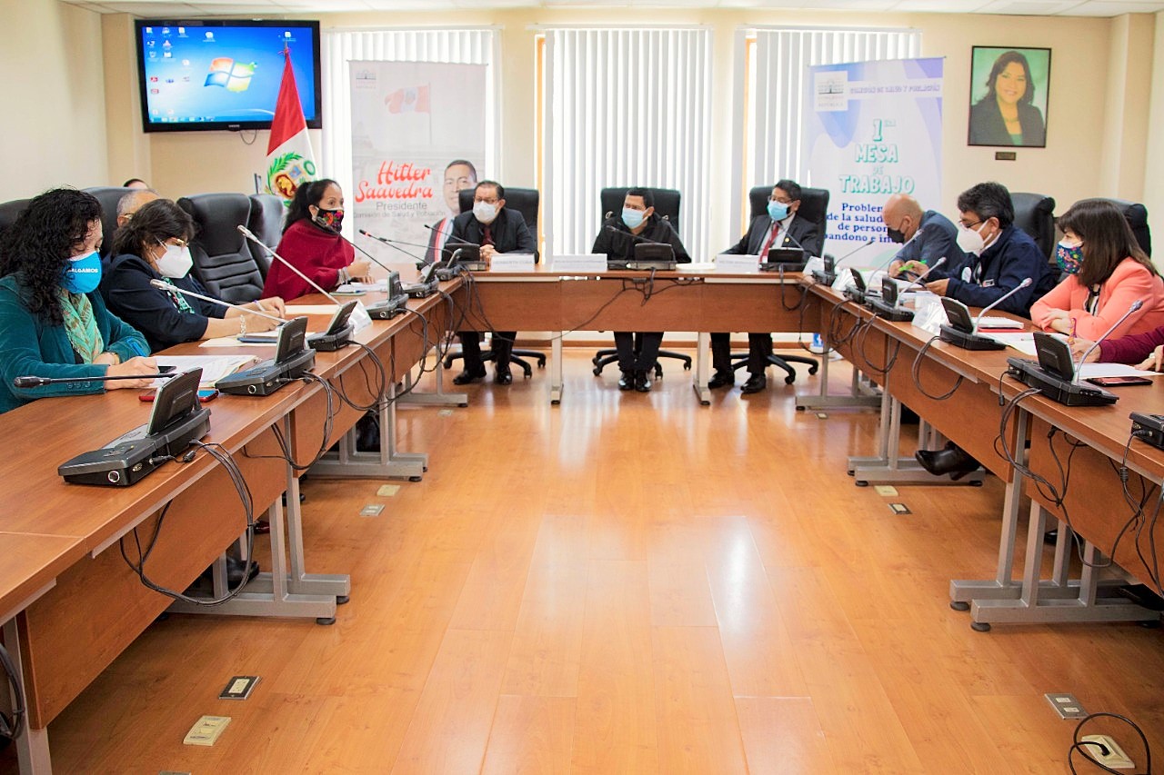 Integrantes de la Comisión de Salud y Población Perú del Congreso de la República que se realizó de forma presencial con la asistencia de representantes del Ministerio de Salud, Municipalidad de Lima, Inabif, CONADIS, Programa Contigo del MIDIS y asociaciones de atención en salud mental.