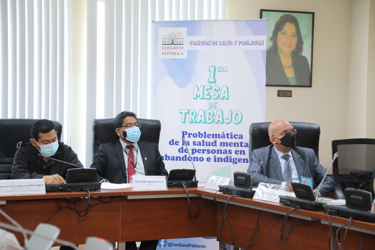 Pdte. del Conadis participa en la Comisión de Salud y Población Perú del Congreso de la República que se realizó de forma presencial con la asistencia de representantes del Ministerio de Salud, Municipalidad de Lima, Inabif, CONADIS, Programa Contigo del MIDIS y asociaciones de atención en salud mental.