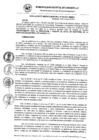 Vista preliminar de documento RG_502-2021.pdf