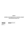 Vista preliminar de documento Evaluacion-de-Resultados-PEI-2020-Anexo.pdf.pdf