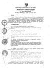 Vista preliminar de documento am013-2021