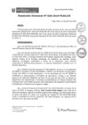 Vista preliminar de documento rd036_2019.pdf