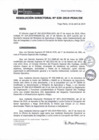 Vista preliminar de documento rd039_2019.pdf