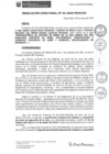 Vista preliminar de documento rd052_2019.pdf