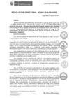Vista preliminar de documento rd055_2019.pdf