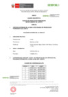 Vista preliminar de documento 3_CUADRO_DESCRIPTIVO_BPP_LORETO-ZONA_5AFF_1.pdf