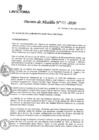 Vista preliminar de documento DEC_001-2020-MLV