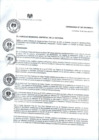 Vista preliminar de documento or_207-15