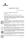 Vista preliminar de documento or_306-19