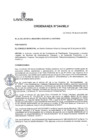 Vista preliminar de documento ORD_344-2020-MLV