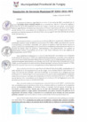 Vista preliminar de documento RGM0202-2021
