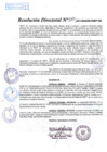 Vista preliminar de documento R.D. Nº 015.pdf