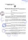 Vista preliminar de documento R.D. Nº 029.pdf