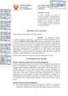 Vista preliminar de documento CAS 536-2020.pdf