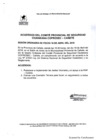 Vista preliminar de documento Acuerdos del Coprosec Cañete - 18 de abril de 2018