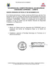 Vista preliminar de documento Acuerdos del Coprosec Cañete - 27 de noviembre de 2018
