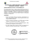 Vista preliminar de documento Acuerdos del Coprosec Cañete - 14 de diciembre de 2018