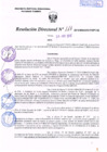Vista preliminar de documento R.D. Nº 111.pdf
