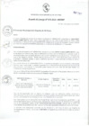 Vista preliminar de documento ACUERDO -074