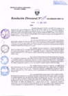 Vista preliminar de documento R.D. Nº 115.pdf