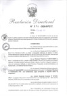 Vista preliminar de documento R.D.N°096-2020.pdf
