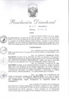 Vista preliminar de documento R.D.N°007-2020.pdf