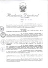 Vista preliminar de documento R.D.N°271-2019.pdf