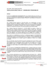 Vista preliminar de documento Resolución Directoral