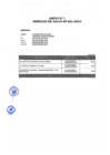Vista preliminar de documento Anexo 1