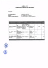 Vista preliminar de documento Anexo 2