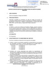 Vista preliminar de documento Servicio de consultoría en contrataciones públicas