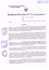 Vista preliminar de documento R.D. Nº 133.pdf