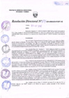 Vista preliminar de documento R.D. Nº 134.pdf