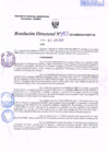 Vista preliminar de documento R.D. Nº 153.pdf