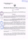 Vista preliminar de documento R.D. Nº 155.pdf