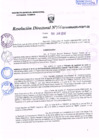 Vista preliminar de documento R.D. Nº 156.pdf