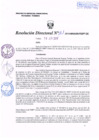 Vista preliminar de documento R.D. Nº 161.pdf