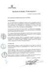 Vista preliminar de documento RSA_296-2020-MLV