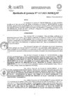 Vista preliminar de documento RG-N° 315-2021-MDB.pdf