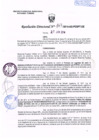 Vista preliminar de documento R.D. Nº 163.pdf