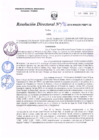 Vista preliminar de documento R.D. Nº 196.pdf