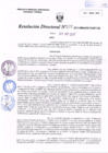 Vista preliminar de documento R.D. Nº 204.pdf