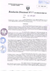 Vista preliminar de documento R.D. Nº 205.pdf