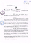 Vista preliminar de documento R.D. Nº 219.pdf
