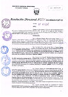 Vista preliminar de documento R.D. Nº 222.pdf
